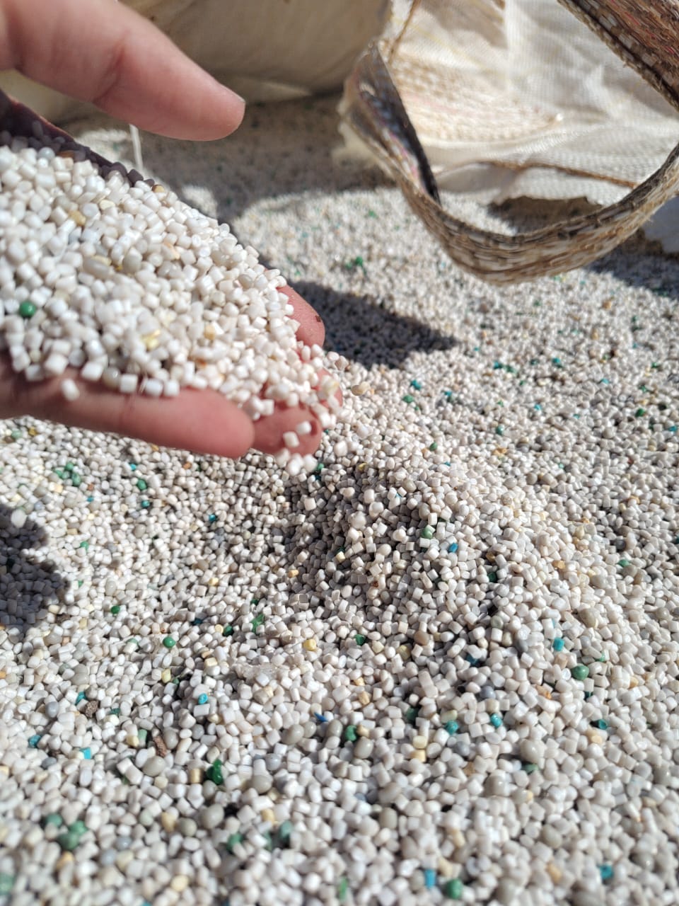 WhatsApp Image 2025-07-21 at 10.52.15.jpeg