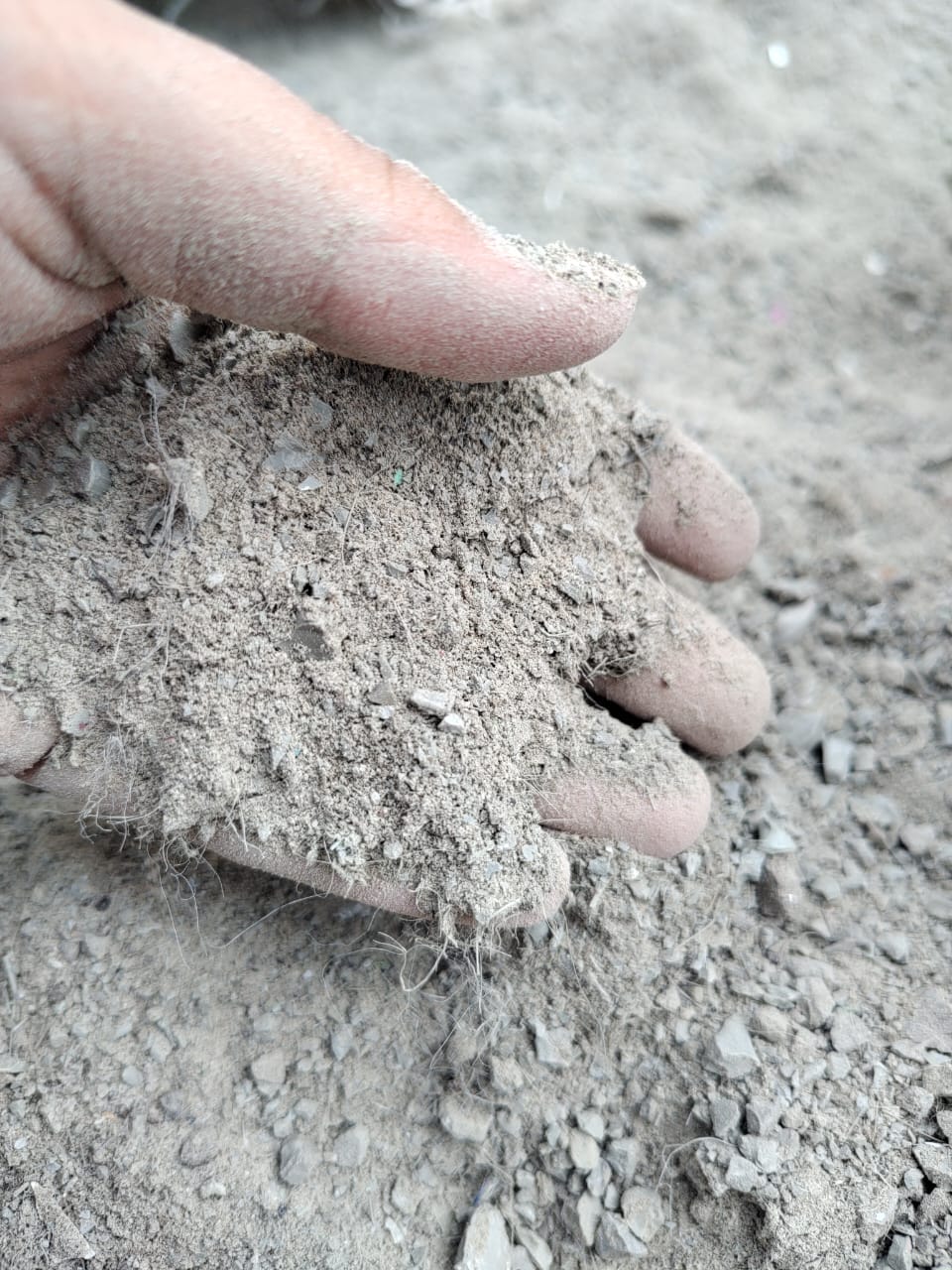 WhatsApp Image 2025-08-11 at 13.38.34.jpeg